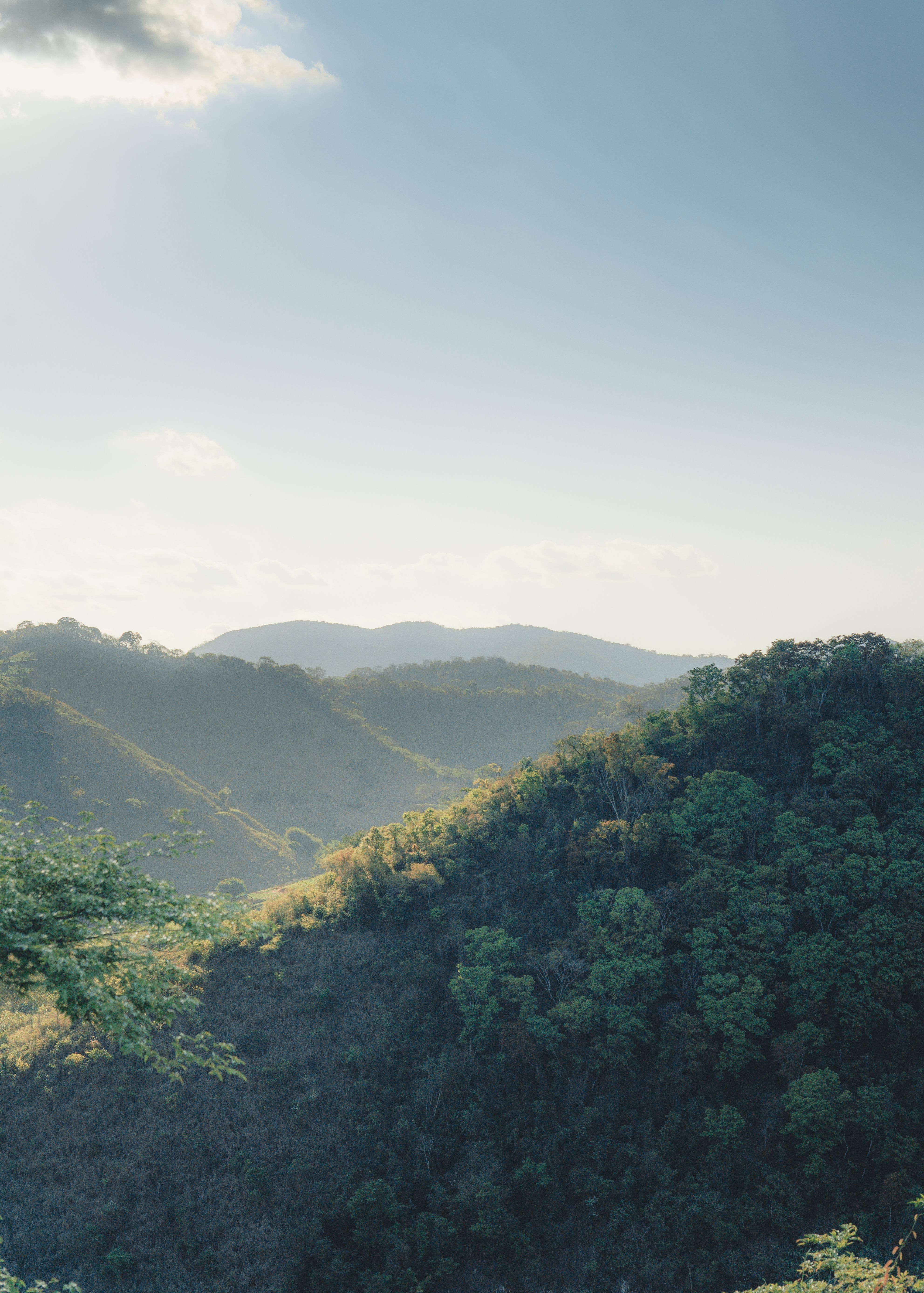 Blue Mountains & Beyond